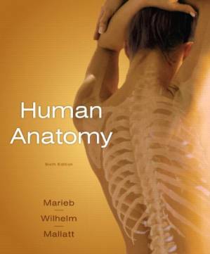 دانلود کتاب Human Anatomy, 6th Edition