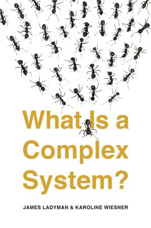 دانلود کتاب What Is a Complex System?