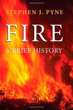 دانلود کتاب Fire: A Brief History