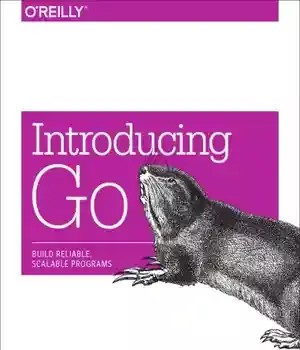 دانلود کتاب Introducing Go: build reliable, scalable programs – Go