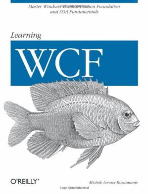 دانلود کتاب Learning WCF: A Hands-on Guide