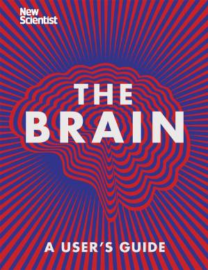 دانلود کتاب The Brain : Everything You Need to Know