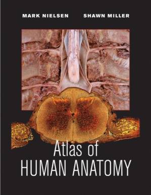 دانلود کتاب Atlas of Human Anatomy