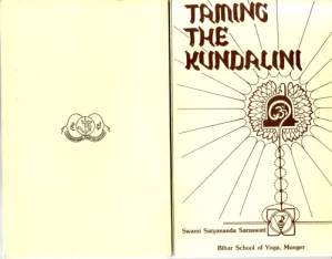 دانلود کتاب Taming the Kundalini