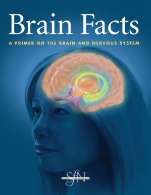دانلود کتاب Brain Facts: A Primer on the Brain and Nervous System 6th Edition