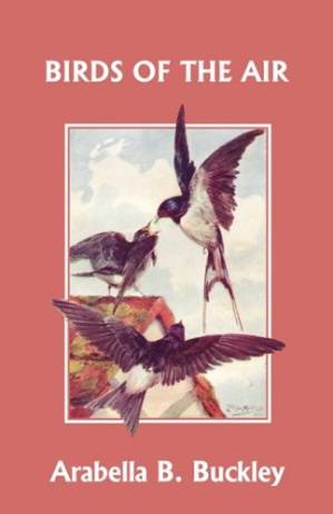 دانلود کتاب Eyes and No Eyes #04 – Birds of the Air