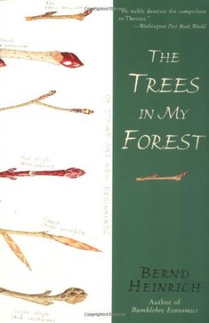 دانلود کتاب The Trees in My Forest