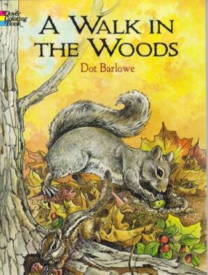دانلود کتاب A Walk in the Woods Coloring Book