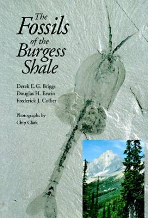 دانلود کتاب The Fossils of the Burgess Shale