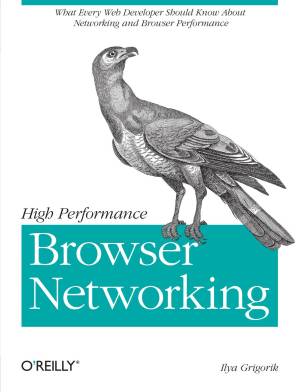 دانلود کتاب High Performance Browser Networking