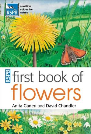 دانلود کتاب First book of flowers