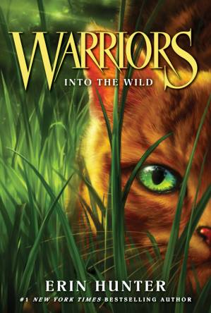 دانلود کتاب Warriors Into the Wild