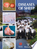 دانلود کتاب Diseases Of Sheep