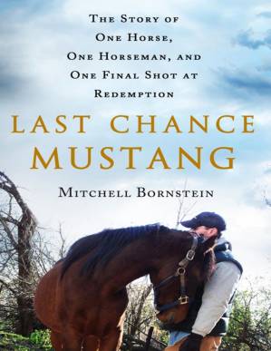 دانلود کتاب Last Chance Mustang