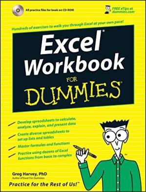 دانلود کتاب Excel Workbook For Dummies