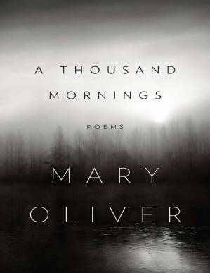 دانلود کتاب A Thousand Mornings
