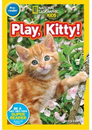 دانلود کتاب Pre-Reader – Play Kitty