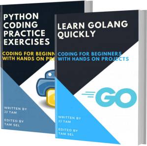 دانلود کتاب LEARN GOLANG QUICKLY AND PYTHON CODING PRACTICE EXERCISES: Coding For Beginners