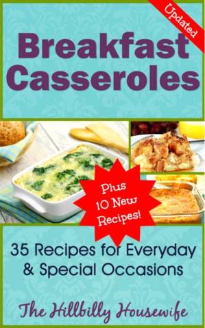 دانلود کتاب Breakfast Casserole Recipes