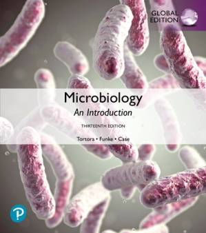 دانلود کتاب Microbiology : an introduction