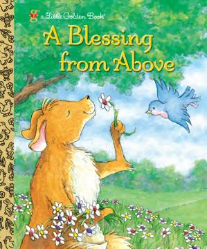 دانلود کتاب A Blessing from Above