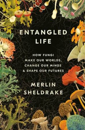 دانلود کتاب Entangled Life: How Fungi Make Our Worlds, Change Our Minds & Shape Our Futures