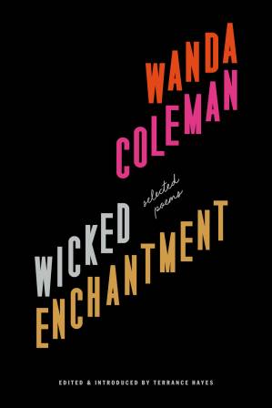 دانلود کتاب Wicked Enchantment