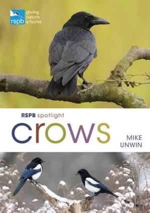 دانلود کتاب RSPB Spotlight Crows