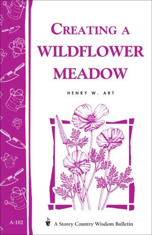دانلود کتاب Creating a Wildflower Meadow