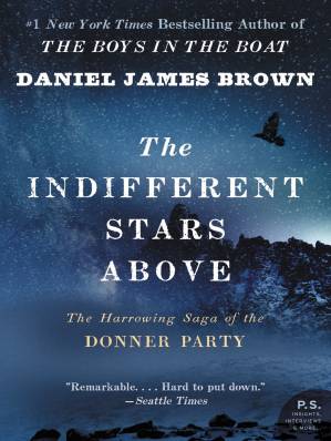 دانلود کتاب The Indifferent Stars Above