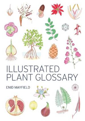 دانلود کتاب Illustrated Plant Glossary