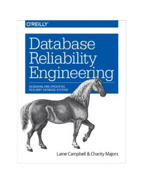 دانلود کتاب Database Reliability Engineering Designing and Operating Resilient Database Systems