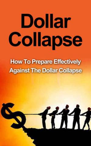 دانلود کتاب Dollar Collapse: How To Prepare Effectively Against The Dollar Collapse (FREE Survival Checklist) [Dollar Collapse, DIY Survival Guide,The Death of Money,The Money Bubble, Survival Guide]