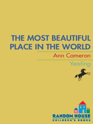 دانلود کتاب The Most Beautiful Place in the World