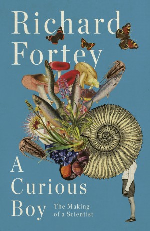 دانلود کتاب A Curious Boy: The Making of a Scientist