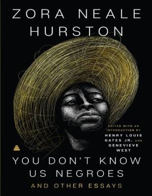 دانلود کتاب You don’t know us Negroes and other essays