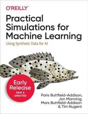 دانلود کتاب Practical Simulations for Machine Learning (Second Early Release)
