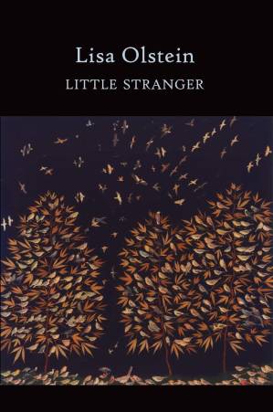 دانلود کتاب Little Stranger