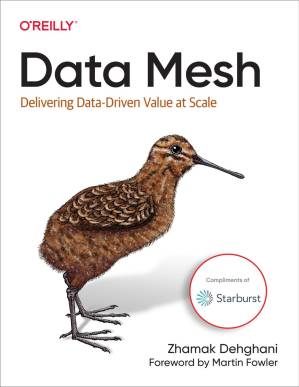 دانلود کتاب Data Mesh: Delivering Data-driven Value at Scale (6th Early Release)