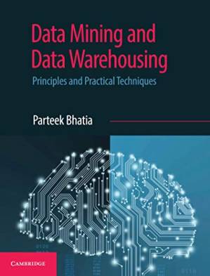 دانلود کتاب Data Mining and Data Warehousing: Principles and Practical Techniques