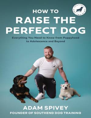 دانلود کتاب How to Raise the Perfect Dog