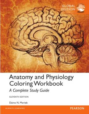 دانلود کتاب Anatomy & Physiology Coloring Workbook : a complete study guide