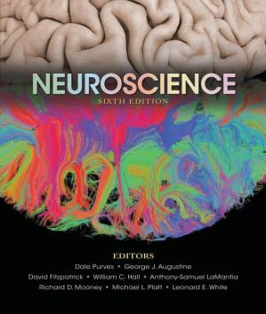 دانلود کتاب Neuroscience, Sixth Edition