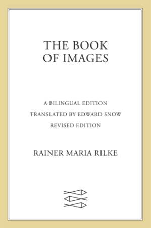 دانلود کتاب The Book of Images
