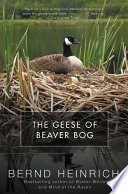 دانلود کتاب The Geese of Beaver Bog