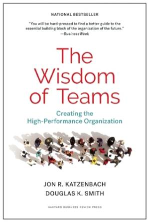 دانلود کتاب The Wisdom of Teams