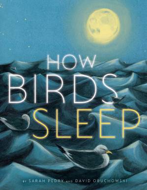 دانلود کتاب How Birds Sleep