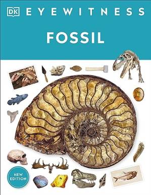 دانلود کتاب Eyewitness Fossil (DK Eyewitness)