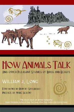 دانلود کتاب How Animals Talk: And Other Pleasant Studies of Birds and Beasts