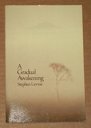 دانلود کتاب A Gradual Awakening